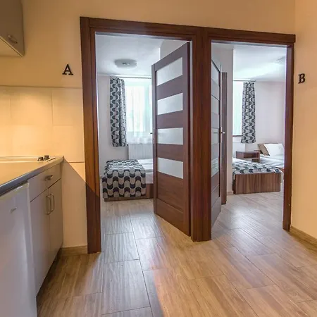 Antracyt Krynica-Zdrój