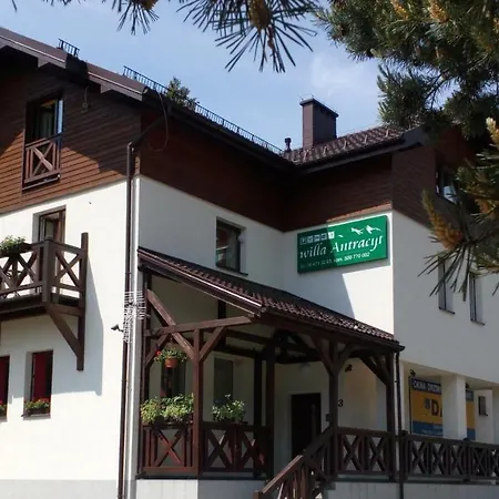 Antracyt * Krynica-Zdrój