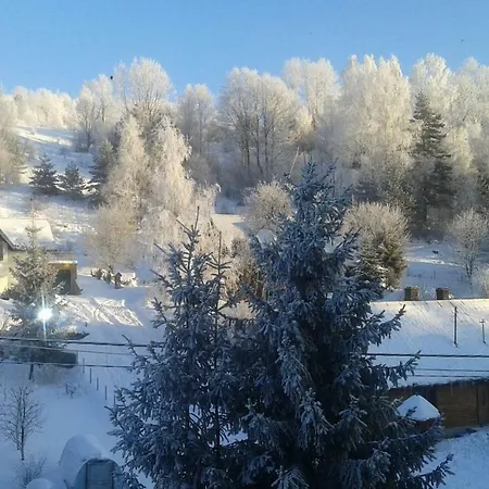 Antracyt 크리니차 즈드로이